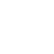 anti-spark